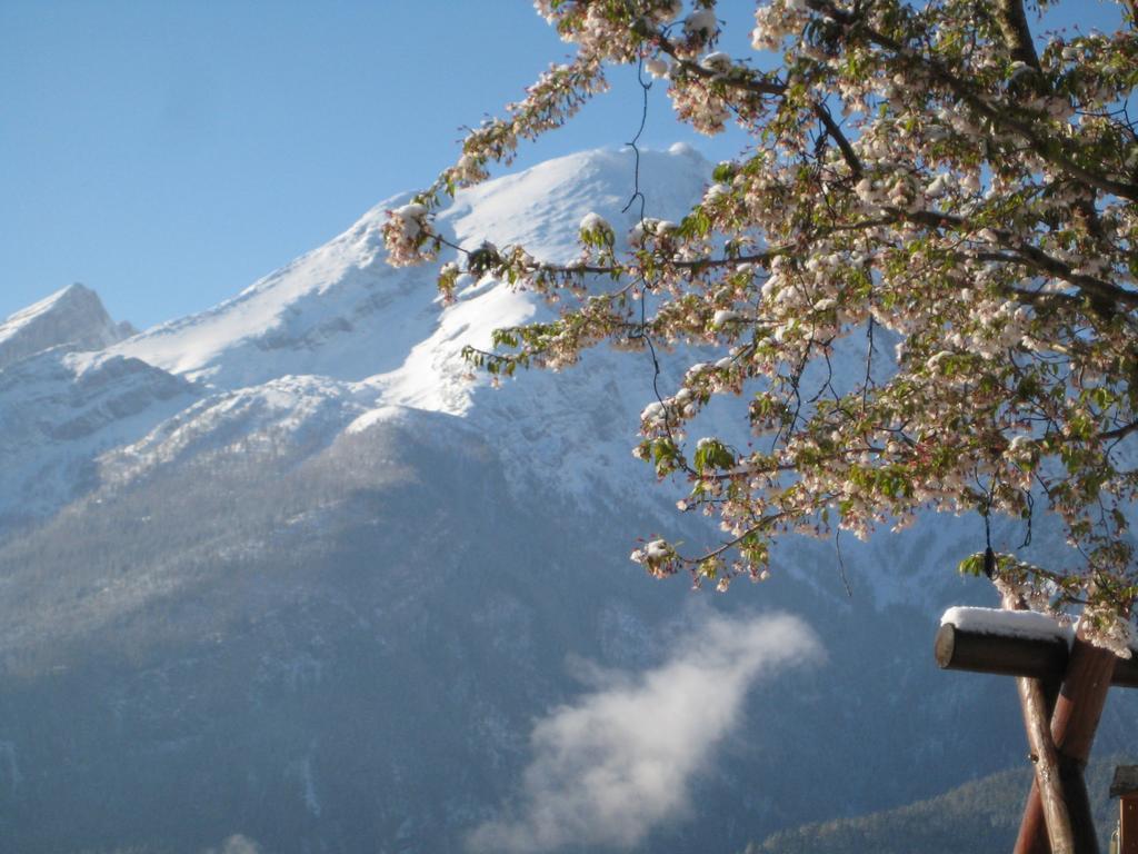 Hotel-Gasthof Nutzkaser Ramsau bei Berchtesgaden Zewnętrze zdjęcie