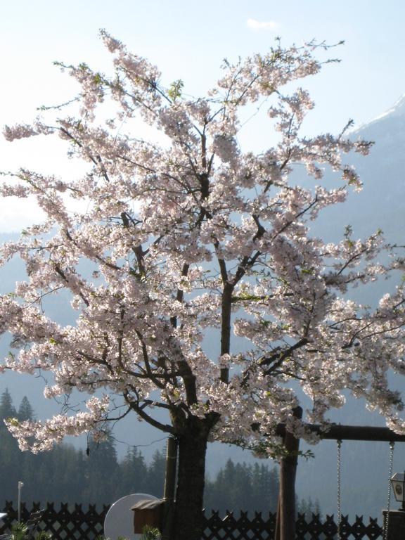 Hotel-Gasthof Nutzkaser Ramsau bei Berchtesgaden Zewnętrze zdjęcie